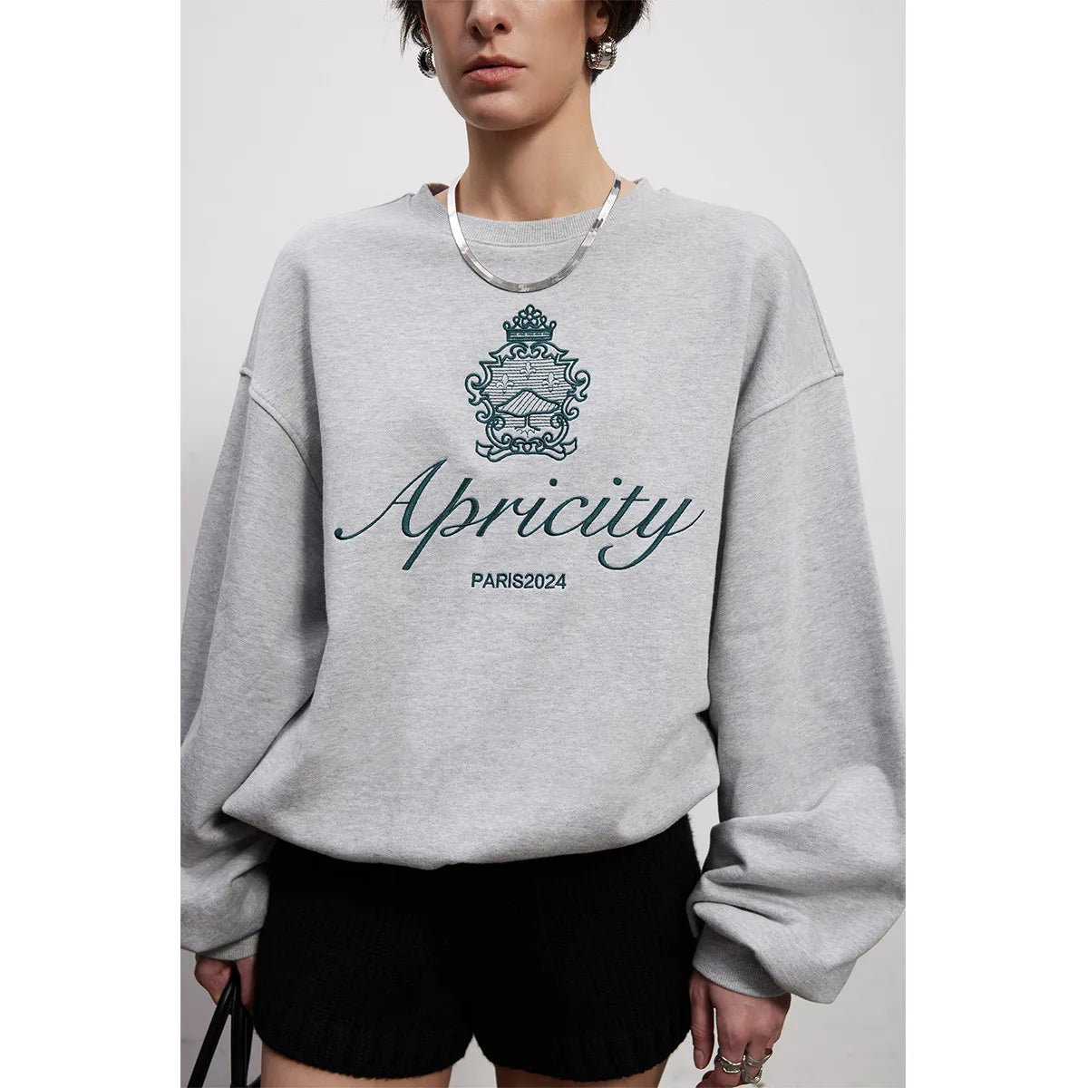 -Retro sports style outfit streetwear 90s fashion American Retro Style Embroidered Crewneck Pullover Autumn New Cotton Thick Warm Sweatshirts Women Street Fashion Jumpers