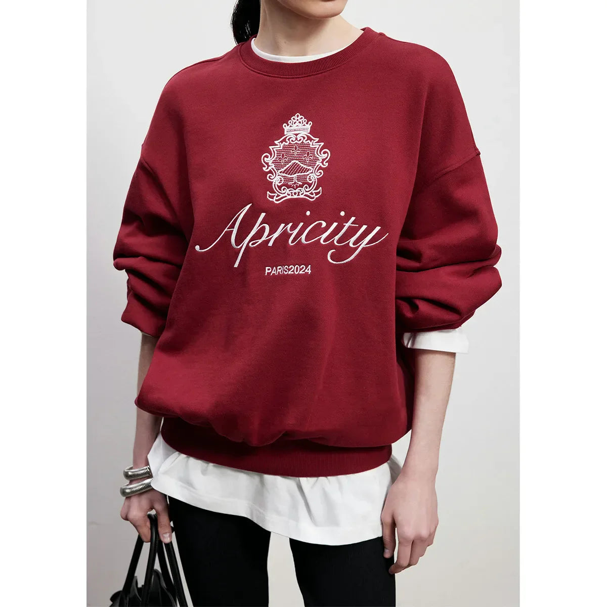 -Retro sports style outfit streetwear 90s fashion American Retro Style Embroidered Crewneck Pullover Autumn New Cotton Thick Warm Sweatshirts Women Street Fashion Jumpers