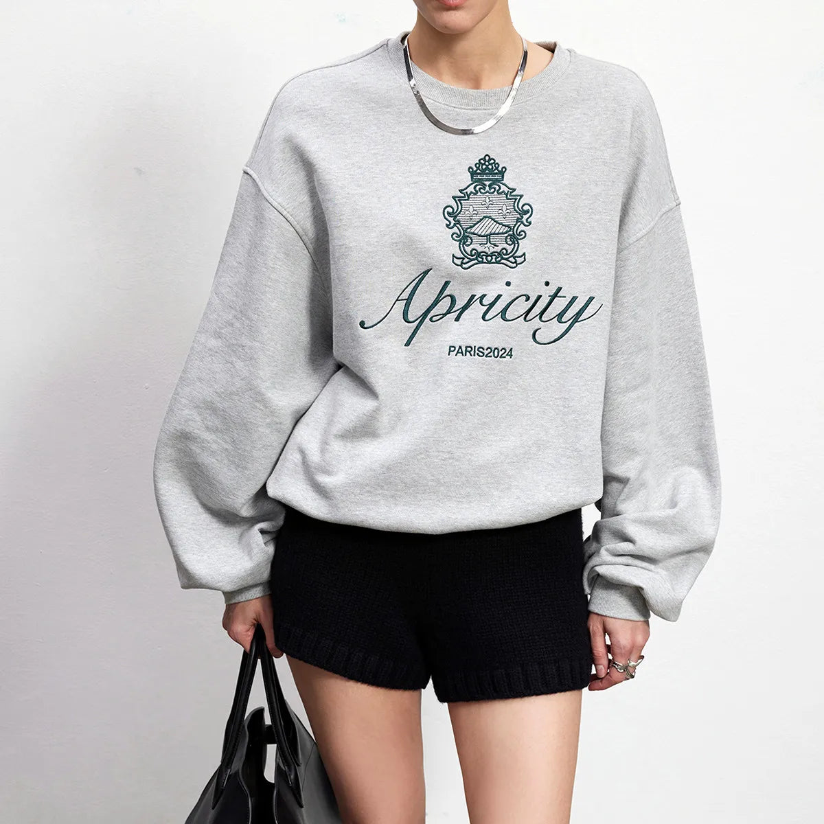 -Retro sports style outfit streetwear 90s fashion American Retro Style Embroidered Crewneck Pullover Autumn New Cotton Thick Warm Sweatshirts Women Street Fashion Jumpers