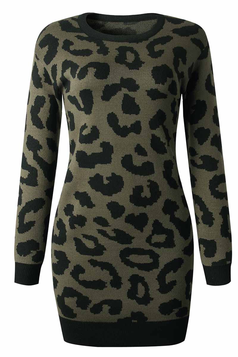 vmtvr -  Leopard Print Oneck Mini Dress