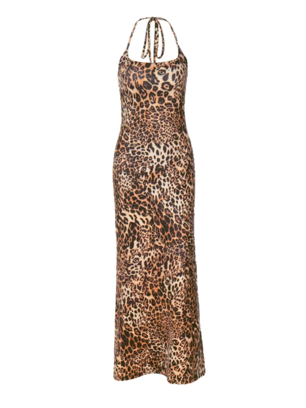 Mahi Leopard Print  Maxi Dress