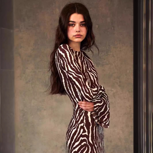 vmtvr -  Autumn Elegant Zebra Print Maxi Dress For Women Sexy See Through Long Sleeve Bodycon Club Party Dress Spring Casual Dress